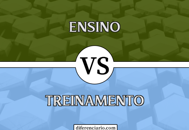 Diferença entre ensino e treinamento