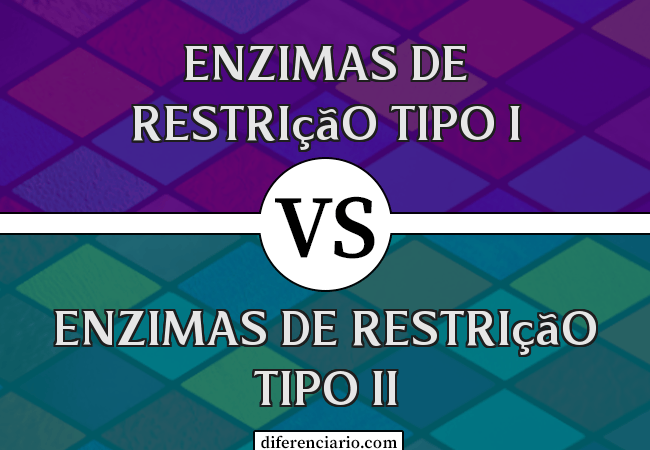 Diferença entre Enzimas de Restrição Tipo I e Enzimas de Restrição Tipo II