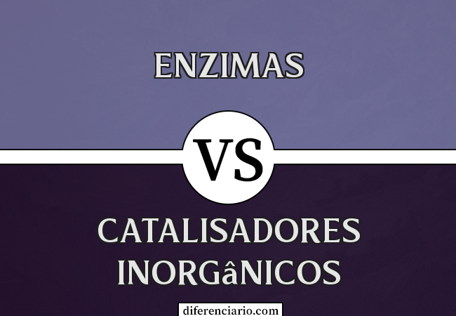 Diferença entre enzimas e catalisadores inorgânicos