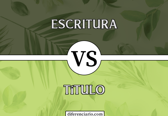 Diferença entre escritura e título