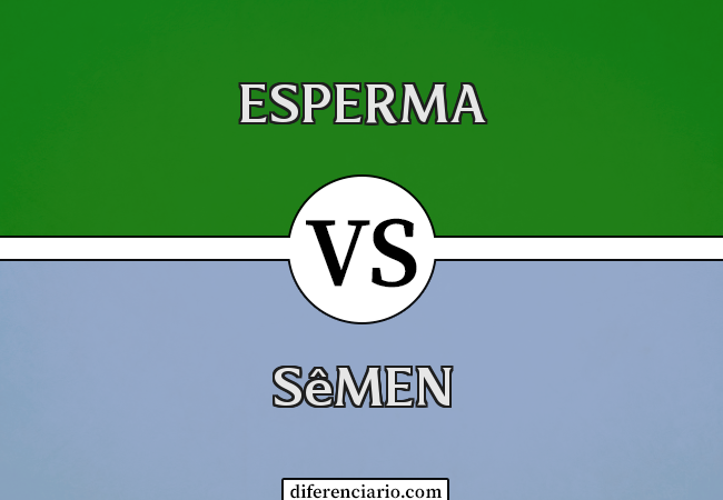 Diferença entre esperma e sêmen