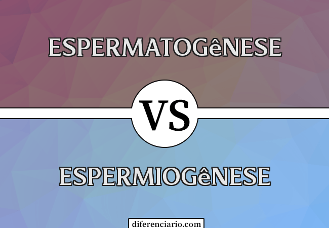 Diferença entre espermatogênese e espermiogênese