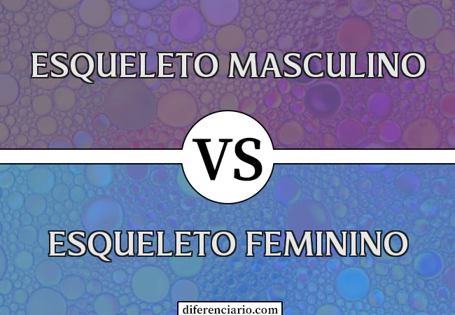 Diferença entre esqueleto masculino e esqueleto feminino