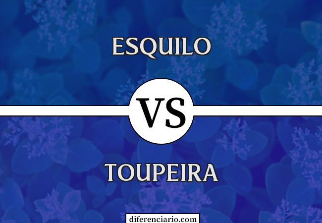 Diferença entre esquilo e toupeira