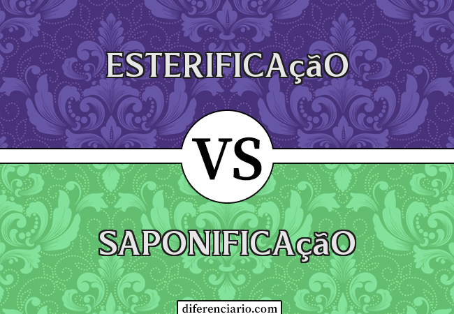 Diferença entre Esterificação e Saponificação