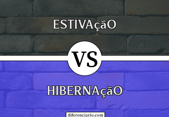 Diferença entre estivação e hibernação