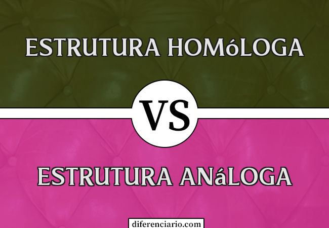 Diferença entre estrutura homóloga e estrutura análoga