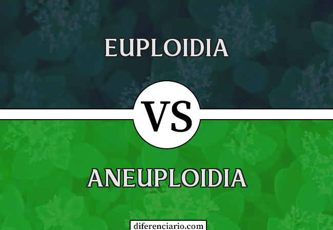 Diferença entre euploidia e aneuploidia