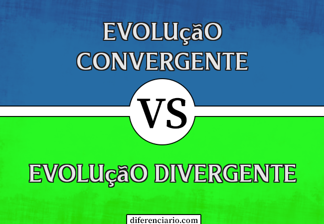 Diferença entre evolução convergente e evolução divergente