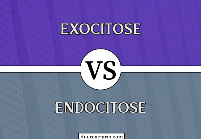 Diferença entre exocitose e endocitose