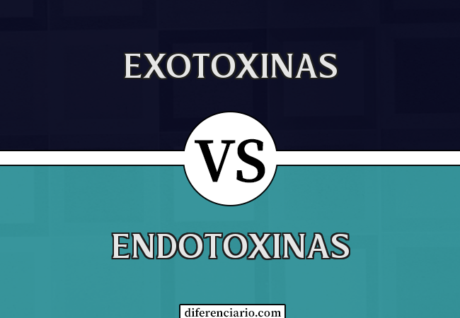 Diferença entre exotoxinas e endotoxinas