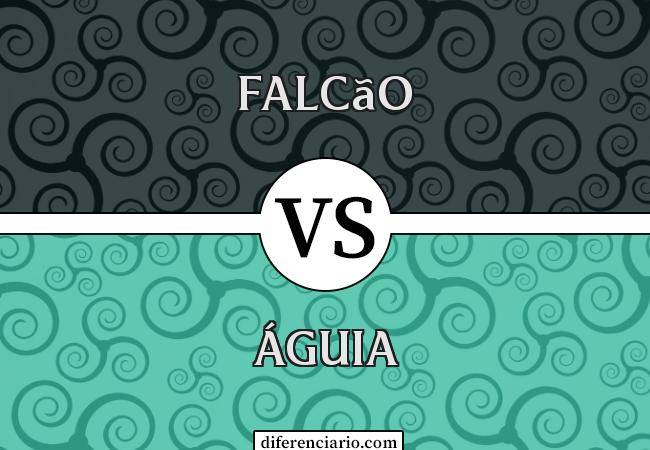 Diferença entre Falcão e Águia