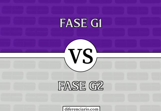 Diferença entre a fase G1 e a fase G2