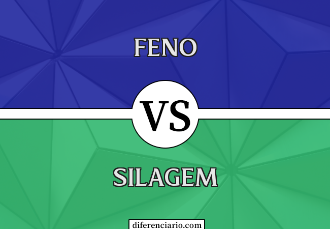 Diferença entre feno e silagem