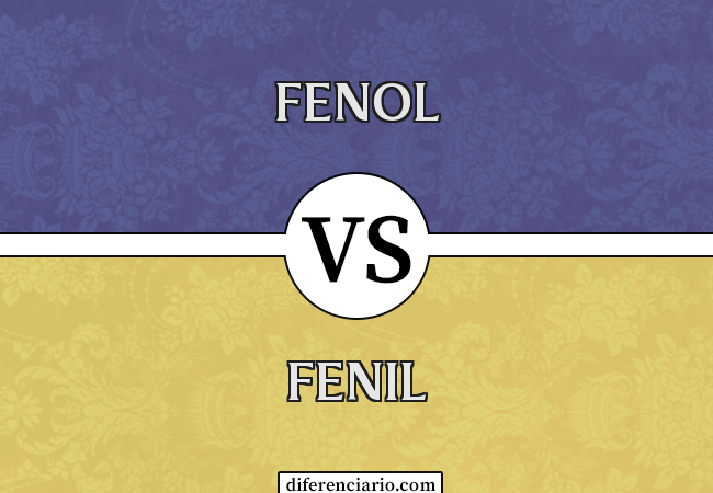 Diferença entre Fenol e Fenil