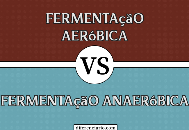 Diferença entre fermentação aeróbica e fermentação anaeróbica