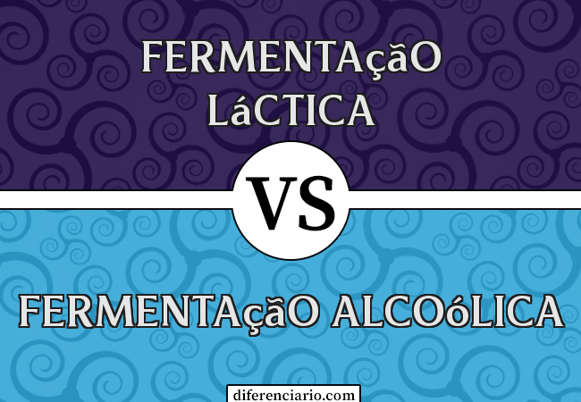 Diferença entre fermentação láctica e fermentação alcoólica