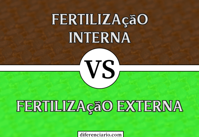 Diferença entre fertilização interna e fertilização externa