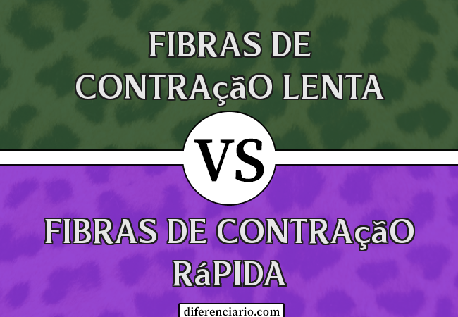 Diferença entre fibras de contração lenta e fibras de contração rápida