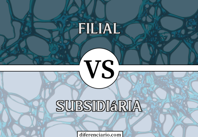 Diferença entre Filial e Subsidiária