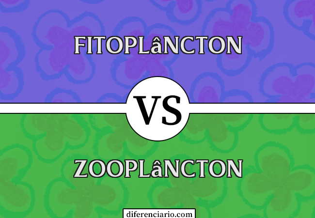 Diferença entre fitoplâncton e zooplâncton