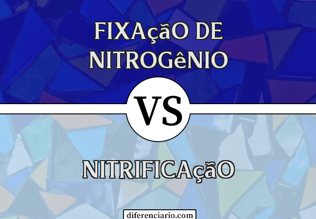 Diferença entre fixação de nitrogênio e nitrificação