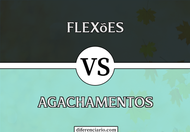 Diferença entre flexões e agachamentos