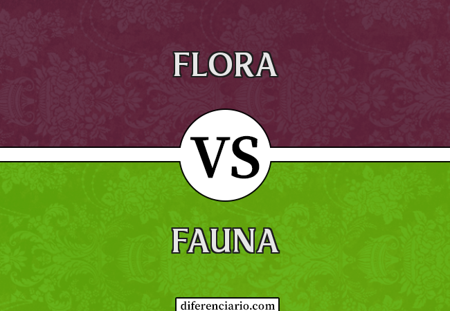 Diferença entre Flora e Fauna