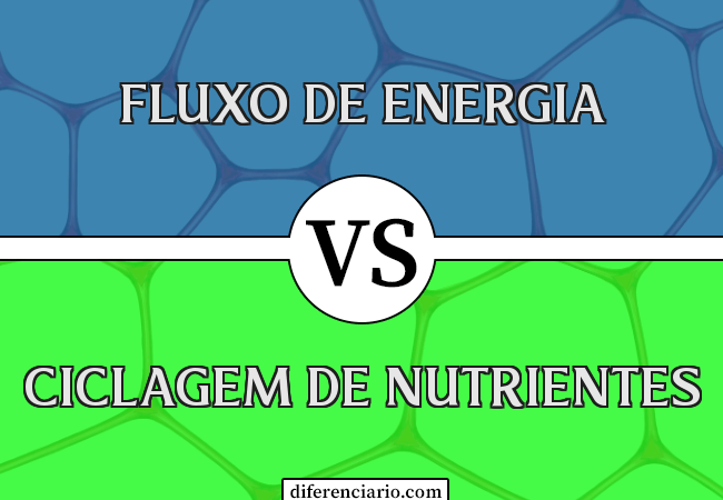 Diferença entre fluxo de energia e ciclagem de nutrientes