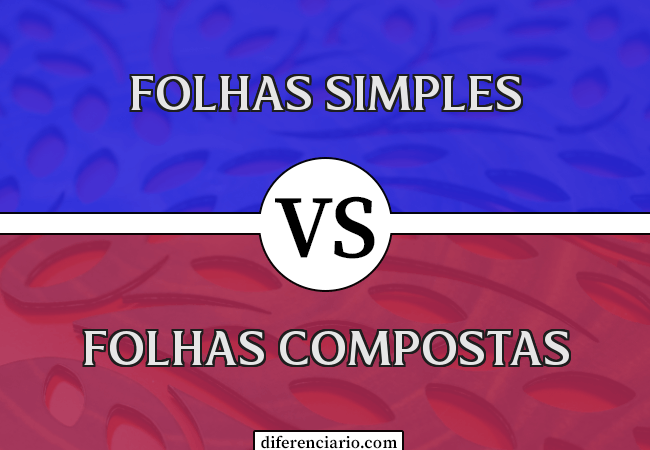 Diferença entre folhas simples e folhas compostas