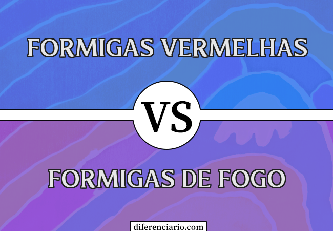 Diferença entre formigas vermelhas e formigas de fogo