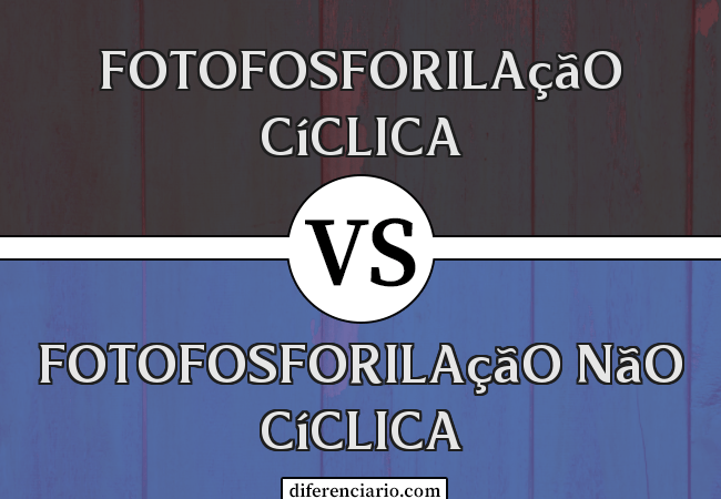 Diferença entre fotofosforilação cíclica e fotofosforilação não cíclica