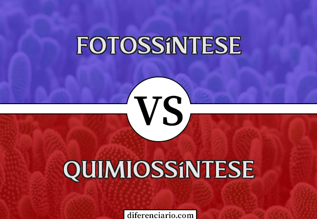 Diferença entre fotossíntese e quimiossíntese