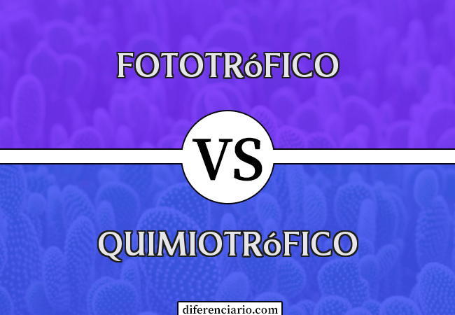 Diferença entre fototrófico e quimiotrófico