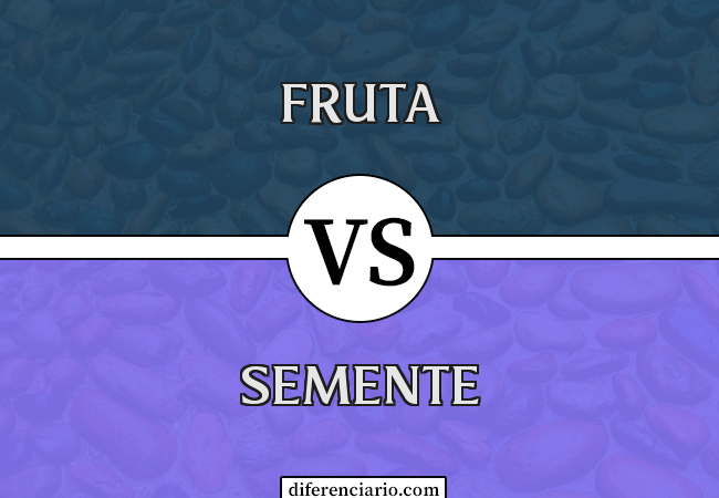 Diferença entre fruta e semente