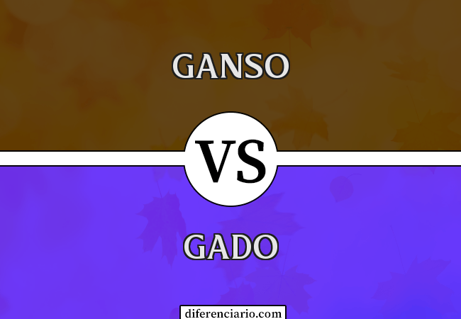 Diferença entre ganso e gado