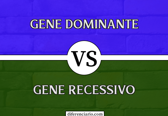 Diferença entre gene dominante e gene recessivo