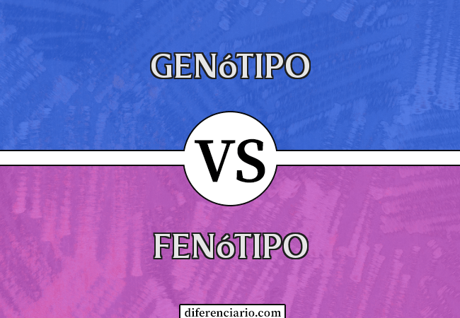Diferença entre Genótipo e Fenótipo