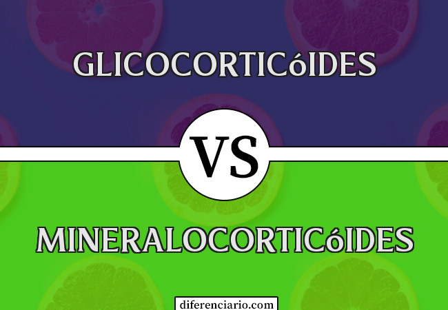 Diferença entre glicocorticóides e mineralocorticóides