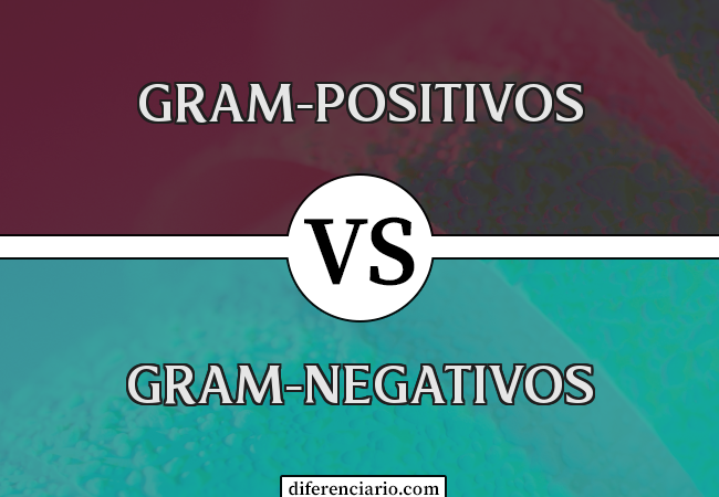 Diferença entre Gram-positivos e Gram-negativos