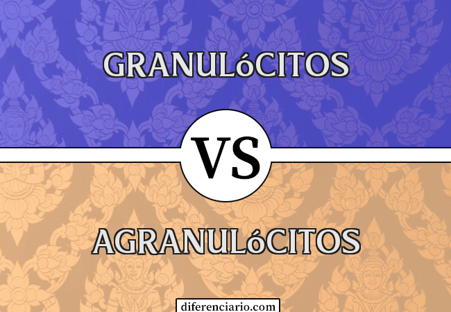 Diferença entre Granulócitos e Agranulócitos
