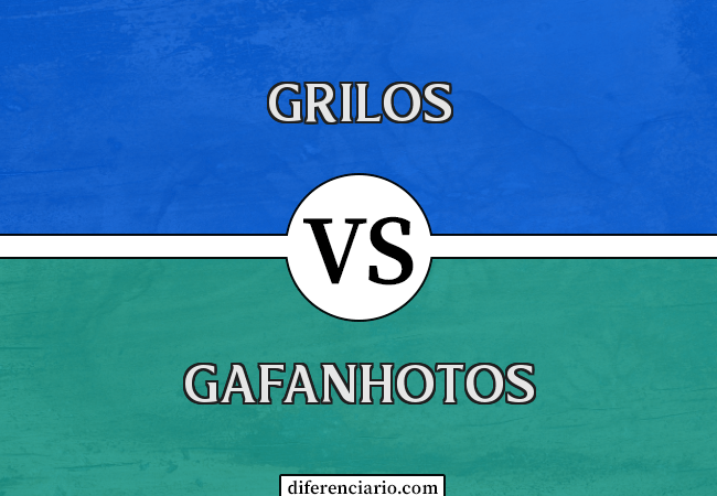 Diferença entre grilos e gafanhotos