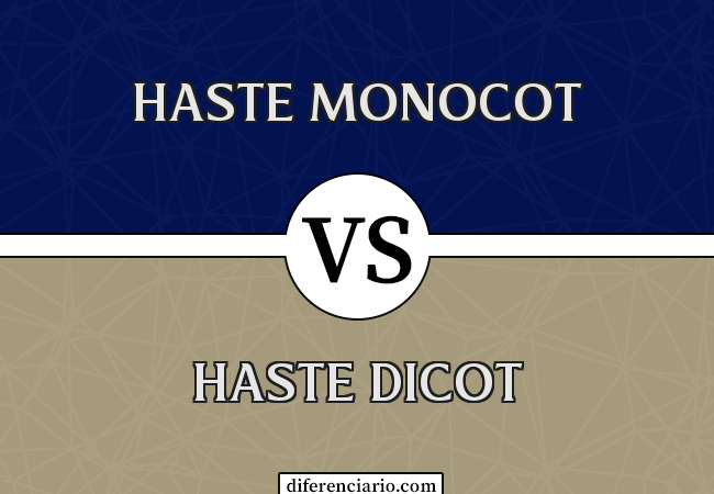 Diferença entre a haste Monocot e a haste Dicot