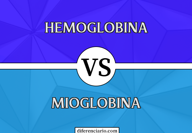 Diferença entre hemoglobina e mioglobina