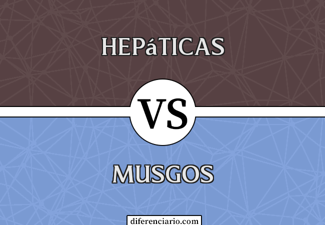 Diferença entre hepáticas e musgos