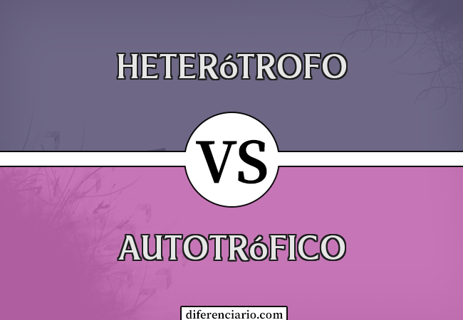 Diferença entre Heterótrofo e Autotrófico