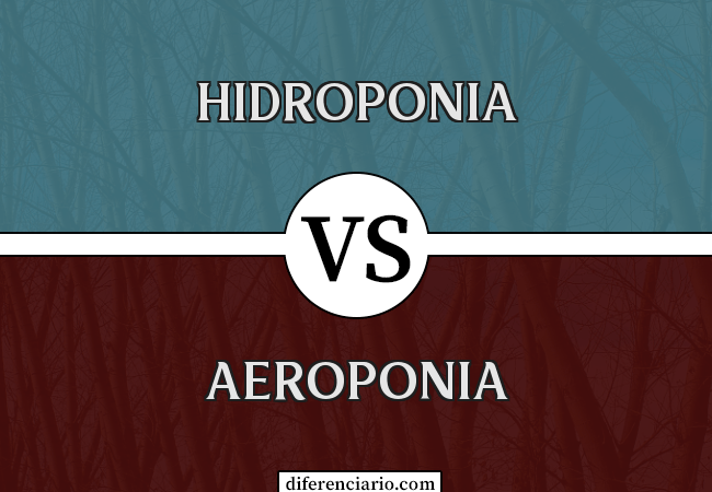 Diferença entre hidroponia e aeroponia