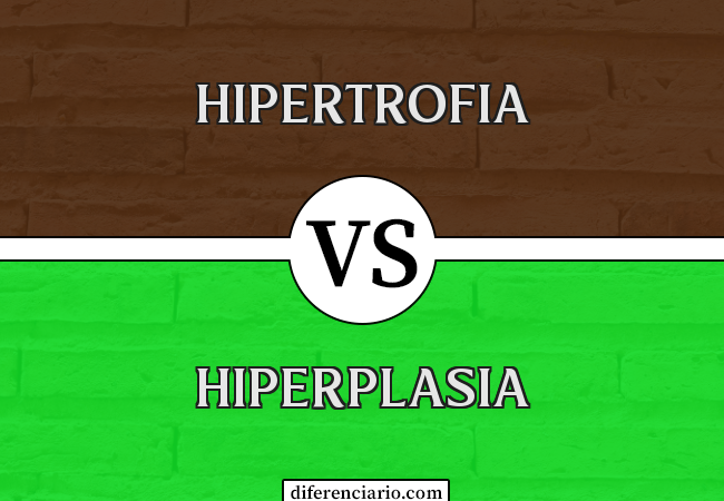 Diferença entre hipertrofia e hiperplasia