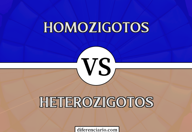 Diferença entre homozigotos e heterozigotos