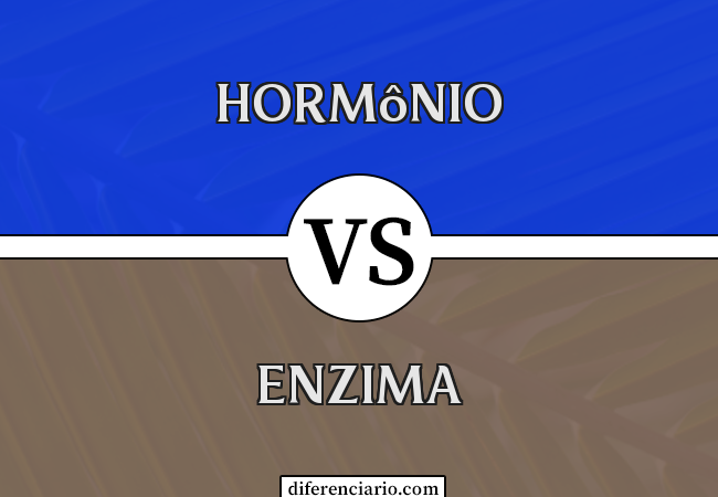 Diferença entre hormônio e enzima